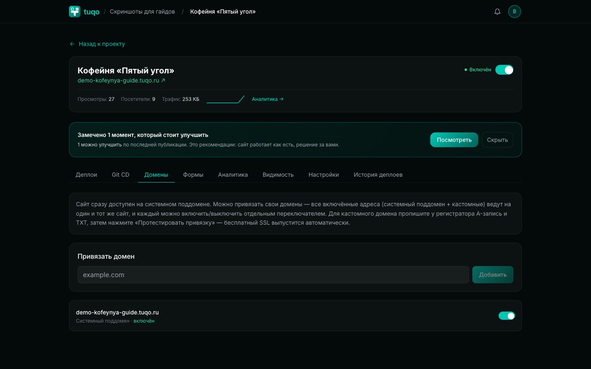 Вкладка «Домены»: добавленный домен и DNS-записи для проверки